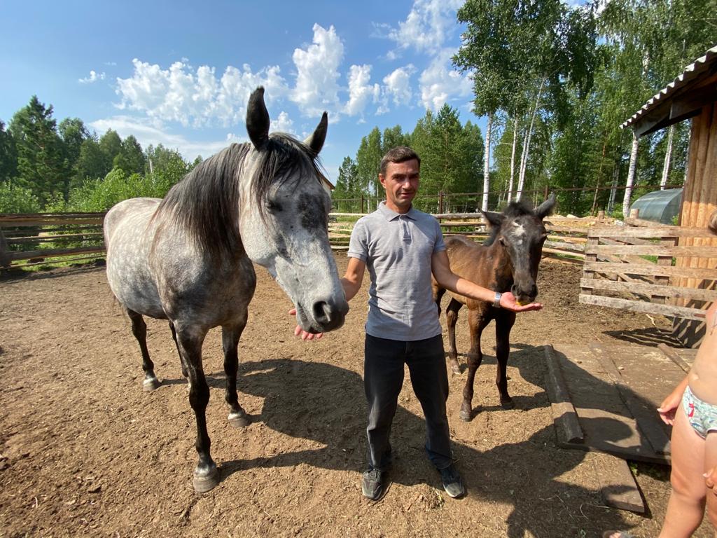 Верхом на мечте: водитель из Становой разводит лошадей для души и помощи  людям - Статьи - Газета Берёзовский рабочий